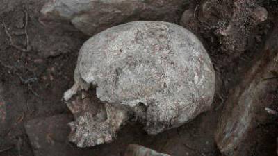 Un dels cranis recuperats. Foto: Departament de Justícia de la Generalitat