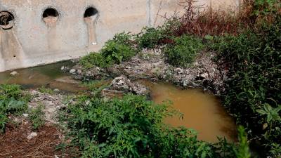 El agua residual de municipios como Maspujols va directamente a la riera. Las depuradoras permitirán acabar con los vertidos. foto: F. Acidres