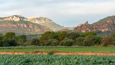 Vista de la ermita de Mare de Déu de la Roca. Foto: Santi García