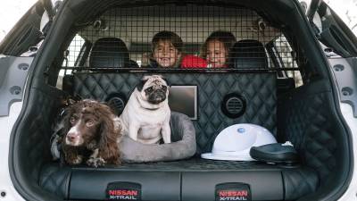 Nissan crea el prototipo de crossover familiar definitivo adaptado para perros.
