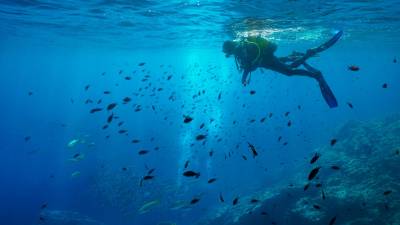 En nuestras playas es habitual practicar submarinismo. foto: getty images