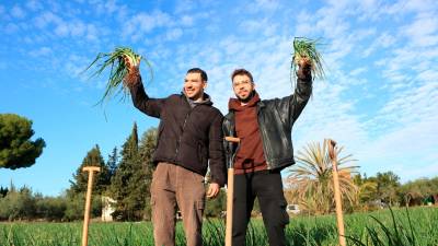 Els integrants de Figa Flawas alcen un manat de calçots després de convertir-se en Amics de l’Autèntica Calçotada 2023-2024. Foto: ACN