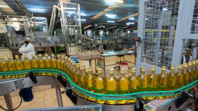 Embotellat d’oli d’oliva a Olivite Export. Foto: Joan Revillas