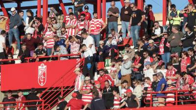 El público del partido Granada - Athletic observa la zona donde este domingo un asistente es atendido por los servicios médicos tras sufrir una parada en el Nuevo Estadio de los Cármenes. Foto: EFE/ Pepe Torres