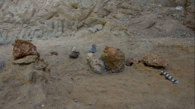 Les &quot;muntanyetes&quot; de color marr&oacute; s&oacute;n alguns dels coprolits de hiena. FOTO:&nbsp;Ariadna Timoneda/IPHES