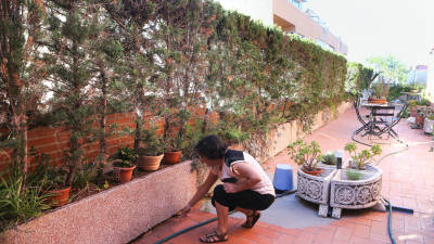 Imagen de las jardineras de la terraza de los propietarios, en la calle Alt de Sant Josep. Foto: A. Mariné.