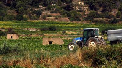 Imatge d'arxiu d'un tractor passant per un camí al costat d'uns masos a la zona del Camp de Tarragona. FOTO: ACN