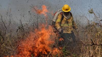 En total en Catalunya hay 91 pueblos y ciudades en alerta por incendio. Foto: EFE