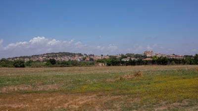 La finca limita con el término municipal de Altafulla. FOTO: àngel ullate