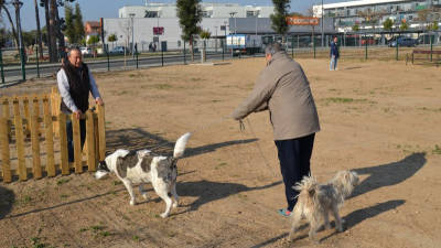Imagen del espacio para perros habilitado en el barrio Juroca. FOTO: AJUNTAMENT DE REUS