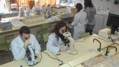 Joves practicant en un cicle de formació professional vinculat a la salut, a l’Institut de l’Ebre de Tortosa. Foto: Joan Revillas