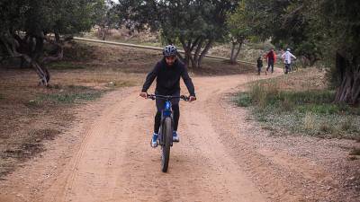 Los nuevos circuitos reaprovecharán algunos de los senderos existentes en el parque. Foto: Àngel Ullate