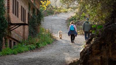 El sendero a su paso por L’Argentera. FOTO: Santi Garcia