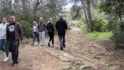 El Bosc de la Marquesa es un reservorio único en esta parte del Mediterráneo. foto: Àngel Ullate