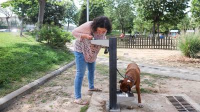 Una mujer y su perro beben de una de las fuentes mixtas, con dos pulsadores, en el Parque del Trenet de Reus. FOTO: Alba Mariné