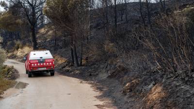 El incendio que se originó en el Coll de l’Alba arrasó unas 30 hectáreas. FOTO: Joan Revillas