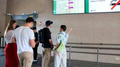La portavoz de la plataforma Dignitat a les Vies, Anna Gómez, ha reclamado que Renfe habilite transporte alternativo. Foto: ACN