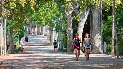 El Passeig de la Boca de la Mina es una de las zonas de la ciudad que reúne zona verde y biodiversidad. Foto: Alfredo González