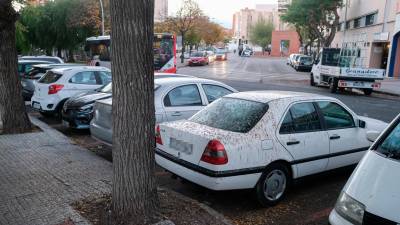 Así acaban los coches aparcados en el Carrer Enric d’Ossó, llenos de excrementos, como también lo está la acera. Foto: Fabián Acidres
