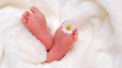 Los nacimientos en España, bajo mínimos. Foto: Pixabay