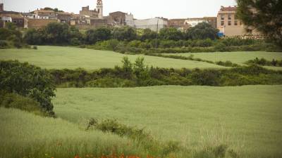 Imatge d´un dels paisatges panoràmics del poble de la Secuita que es poden trobar durant el recorregut que permetrà descobrir l´interior rural del Tarragonès. FOTO: CEDIDA