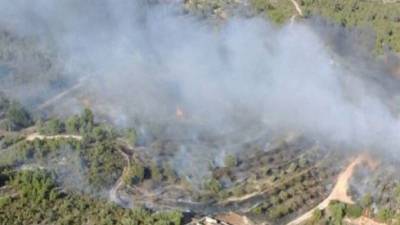 Imatge aèria de l'incendi forestal de la Terra Alta. Foto: Bombers