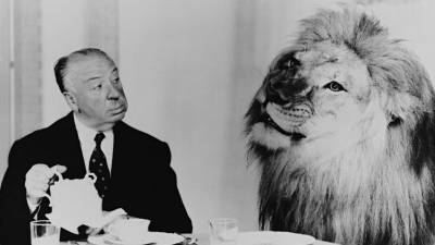 Hitchcock, en una foto de la exposición, sirviendo el té a Leo, uno de los leones de la Metro Goldwyn Mayer (MGM). Foto: album-espacio fundación telefónica