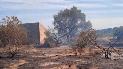 El fuego se ha propagado por matorrales muy secos. Foto: Bombers