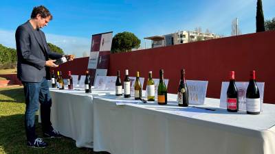El Consell del Vi trabajará para promover los vinos de las 8 DO de la provincia de Tarragona entre los restauradores. foto: alba mariné