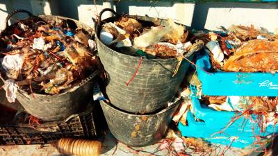 En el Delta de l’Ebre habrá una charla sobre residuos marinos. foto: XCN