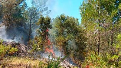 Incendio de hoy en Tivissa. Foto: Bombers