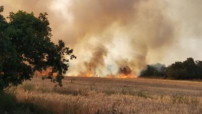 Imatge de l'incendi entre Alcover i Vilallonga del Camp. À.Juanpere