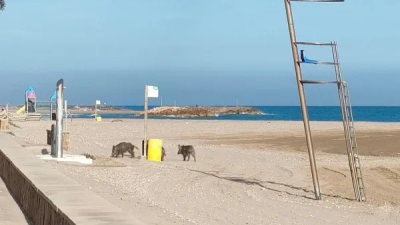 En la playa de Cunit.