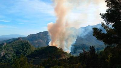 Extinguido el incendio en Paüls que ha quemado 5,18 hectáreas de vegetación