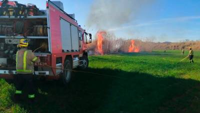 Movilizadas siete dotaciones de bomberos por un incendio de vegetación en Montblanc
