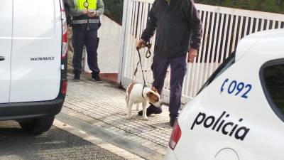 De la casa de La Móra se retirado un cachorro de perro. Foto: Àngel Juanpere