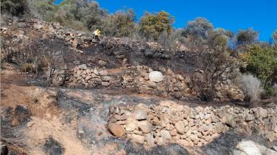 Movilizadas seis dotaciones de bomberos por un incendio forestal en Alforja