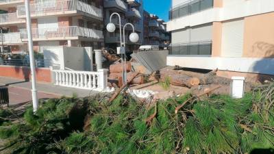 Imagen de los estragos de un temporal de viento en Torredembarra. Foto: Alba Mariné