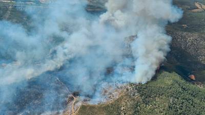 Los dos incendios afectaron a 184,86 hectáreas, de las que las 182,82 se encuentran dentro del espacio protegido del macizo del Garraf. Foto: Cedida