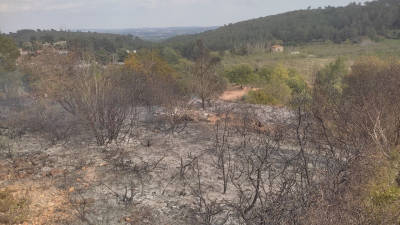 El incendio ha calcinado 4.600 metros cuadrados de vegetación. Foto: Cedida