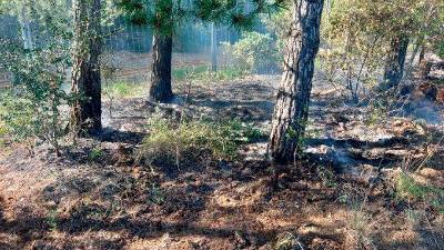 La zona afectada por el incendio. Foto: Bombers de la Generalitat