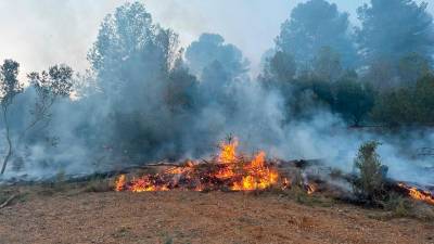 El incendio en Riudecanyes. Foto: Bombers de la Generalitat