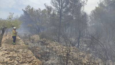 Imatge de la zona cremada a Tivissa. Foto: Bombers de Tivissa