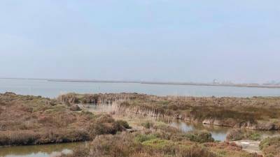 La Llacuna Encanyissada, en el Delta de l’Ebre. Foto: Maribel Millán