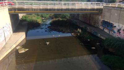 Los vecinos piden aclarar la causa de la muerte de patos en el torrente del Lluc en El Vendrell