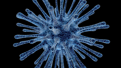 Un virus en una imagen de archivo. Foto: Pixabay