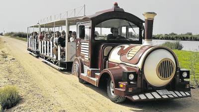 Tren turístic que va transportar als visitants. Foto: Joan Revillas
