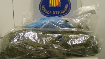 La marihuana i els diners incautats als dos detinguts en la intervenció policial. Foto: dt