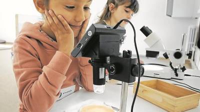 Una niña mira a través de una lupa binocular. FOTO: Pere Ferré