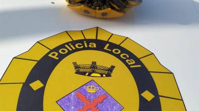 FOTO: Policia Local de Creixell
